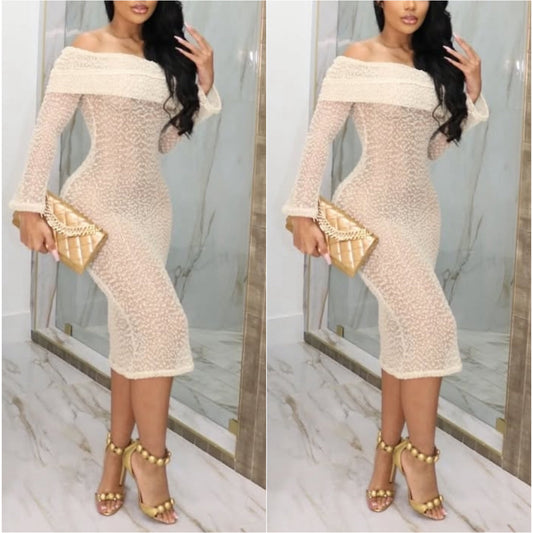 “Carmen” Net Long Sleeve Off the Shoulder Midi Dress Coverup