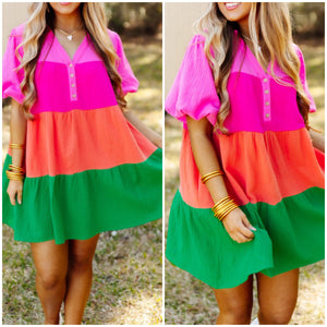 “Bloom” Multicolor Short Sleeve Skater Dress